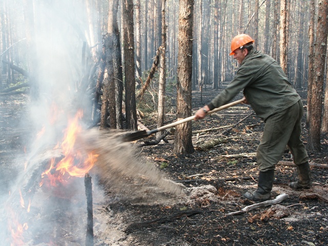 На Дальнем Востоке начинается сезон лесных пожаров